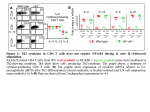 Figure2-NF-kB1